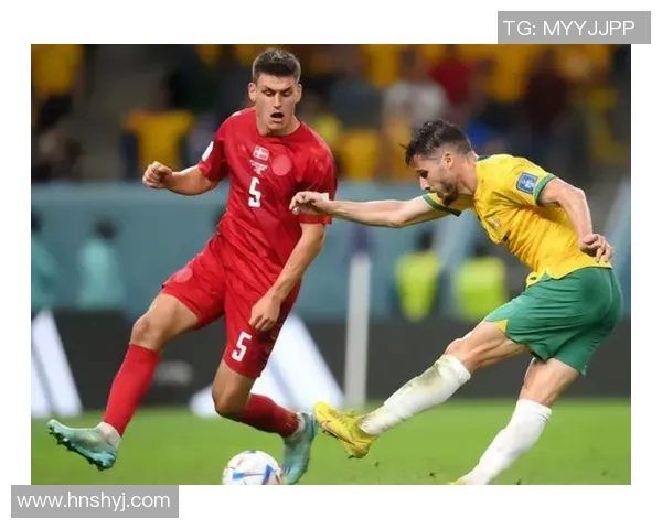 海牙与维迪斯激战正酣双方争夺胜利展现精彩对决